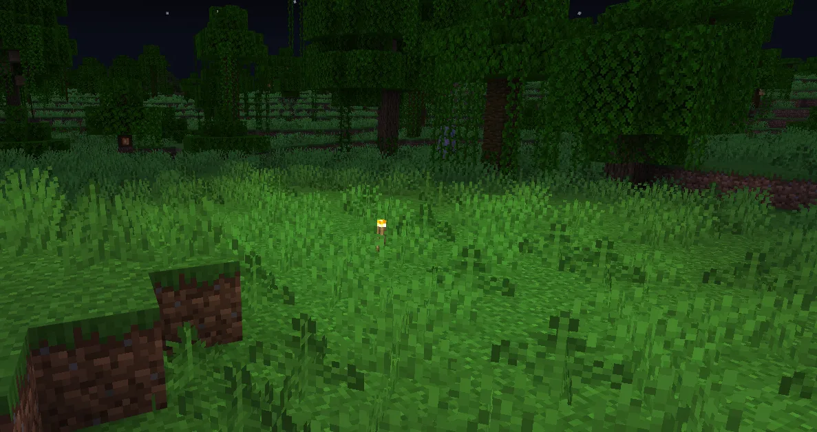 A single Minecraft torch lighting a small patch of ground at night